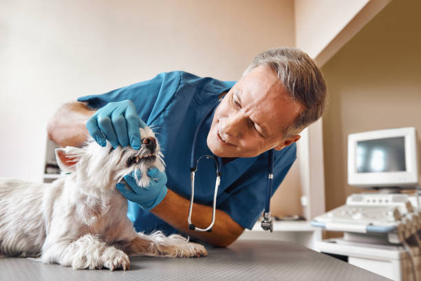 Best Emergency Root Canal Treatment in Flagtown, NJ